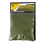 Woodland Scenics Woodland Scenics Static Grass Dark Green 2mm - 70gr - FS613