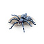 Tabletop-Art Tabletop-Art Gigantic Spider - 1x - TTA200254