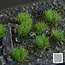 Gamers Grass Gamers Grass Strong Green Small Tuft 6mm - GG6-SGs