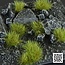 Gamers Grass Dry Green Wild Tuft 6mm - GG6-DG - image