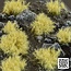 Gamers Grass Dense Beige Wild Tuft 6mm - GGD6-BE - image