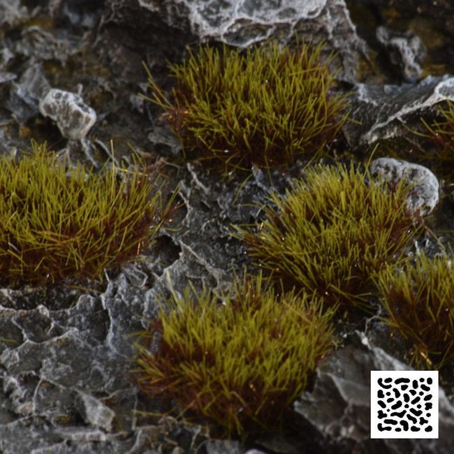 Gamers Grass Gamers Grass Swamp XL Wild Tuft 8mm - GG8-SW