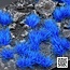 Gamers Grass Alien Blue Wild Tuft 6mm - GGA-BL - image