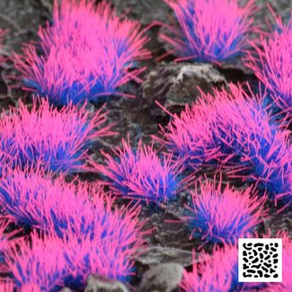 Gamers Grass Alien Neon Wild Tuft 4mm - GGA-NE