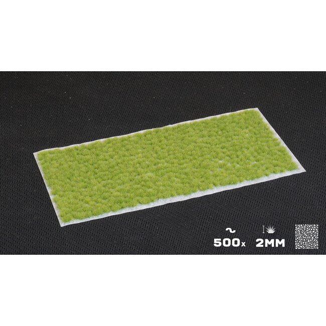 Gamers Grass Gamers Grass Tiny Tufts Light Green 2mm - GGTT-LG
