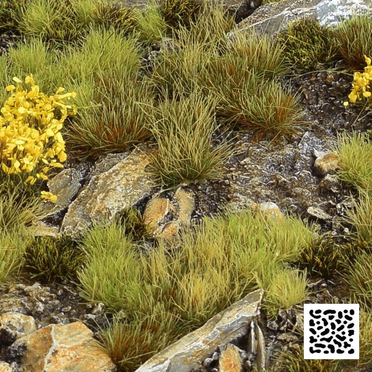 https://cdn.webshopapp.com/shops/7221/files/360441920/file.jpg