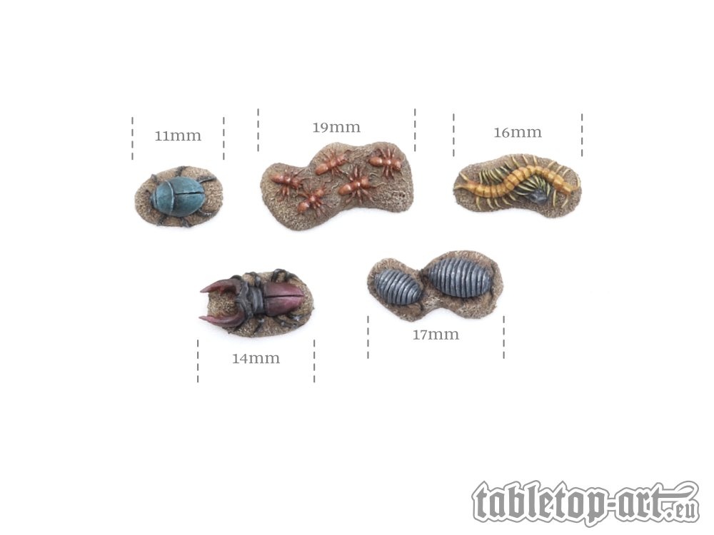 https://cdn.webshopapp.com/shops/7221/files/372802764/file.jpg