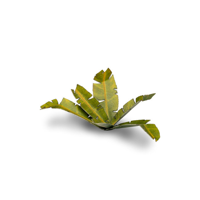 Gamers Grass Banana Tree - Laser Plants - 5x - GGLP-BT