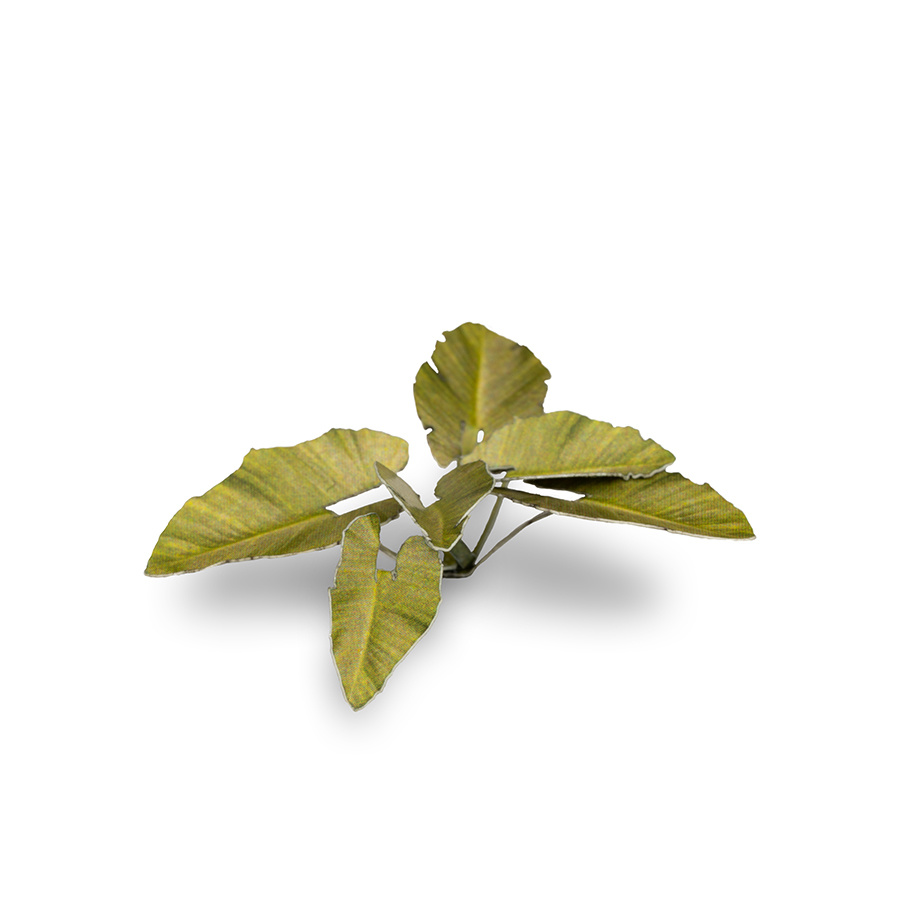 https://cdn.webshopapp.com/shops/7221/files/394093024/file.jpg