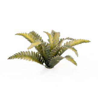 Gamers Grass Deer Fern - Laserplants  - 38x - GGLP-DF