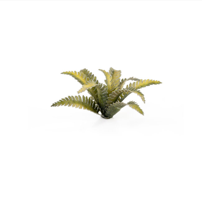 Gamers Grass Deer Fern - Laserplants  - 38x - GGLP-DF