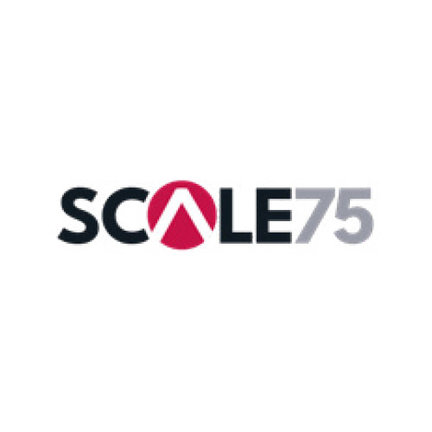 Scale 75 Paint