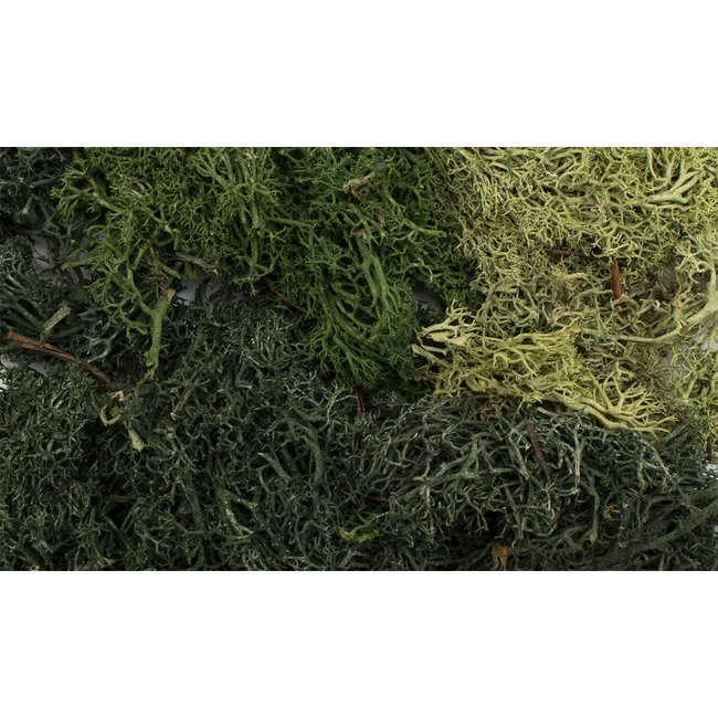 Woodland Scenics Summer Mix EZ Bushes - All Game Terrain - 159 cm³ - WLS-G6501