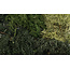 Woodland Scenics Summer Mix EZ Bushes - All Game Terrain - 159 cm³ - WLS-G6501