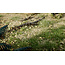 Woodland Scenics Natural Gravel - All Game Terrain - 159 cm³ - WLS-G6532