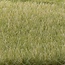 Woodland Scenics Light Green 4mm Static Grass - All Game Terrain - WLS-G6571 - image