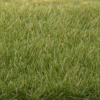 Woodland Scenics Medium Green 4mm Static Grass - All Game Terrain - WLS-G6572