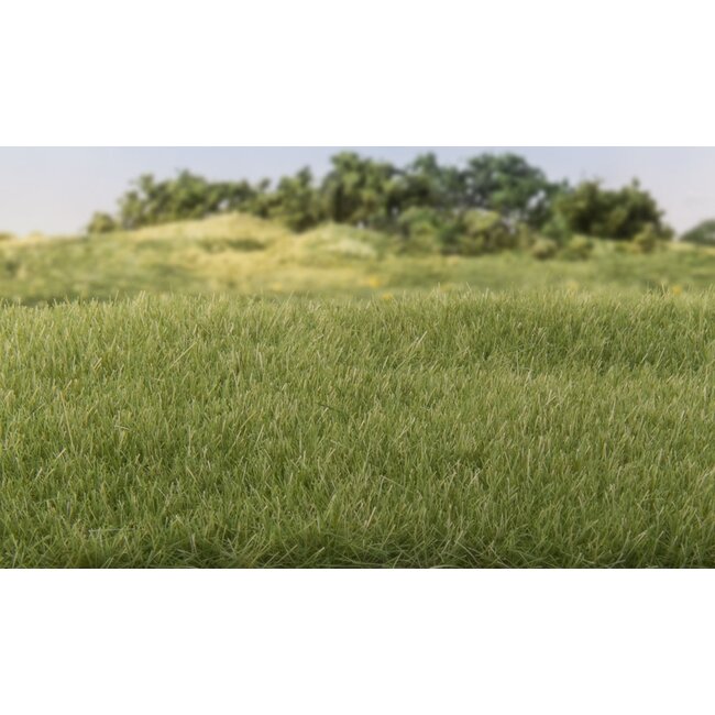 Woodland Scenics Medium Green 4mm Static Grass - All Game Terrain - WLS-G6572