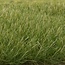 Woodland Scenics Medium Green 7mm Static Grass - All Game Terrain - WLS-G6584