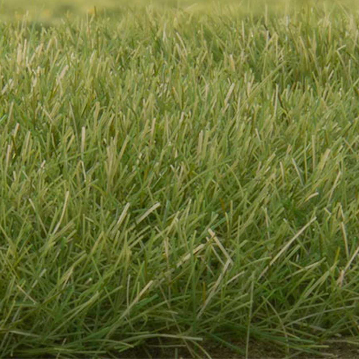 Woodland Scenics Light Green 7mm Static Grass