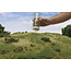 Woodland Scenics Static Grass Shaker Kit - All Game Terrain - 5x - WLS-G6595