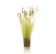 Woodland Scenics Cattails Tufts- All Game Terrain - 20x - WLS-G6633