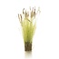 Woodland Scenics Cattails Tufts- All Game Terrain - 20x - WLS-G6633
