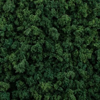 Woodland Scenics Dark Green Foliage Clumps - All Game Terrain - 159 cm³ - WLS-G6463