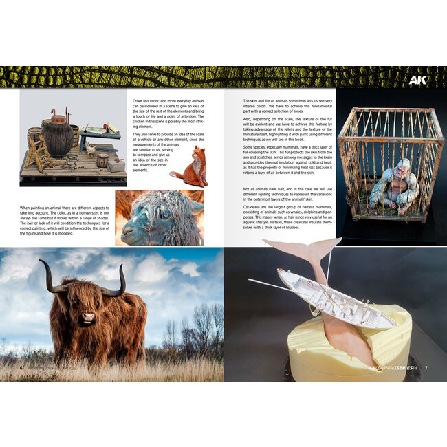 AK interactive Painting Animal Figures - AK Learning 14 - 88pag - English - AK518