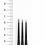 Vallejo ProModeler Definition Brush Set - 3x - 4/0-3/0-2/0 - B01990