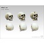 Tabletop-Art Skull Set 90mm - 6x - TTA600032