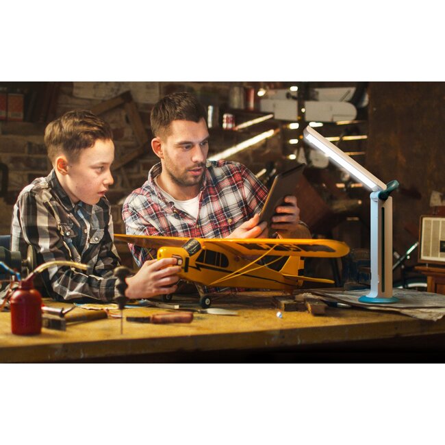 Daylight Twist 2 Go D35090 Daglichtlamp