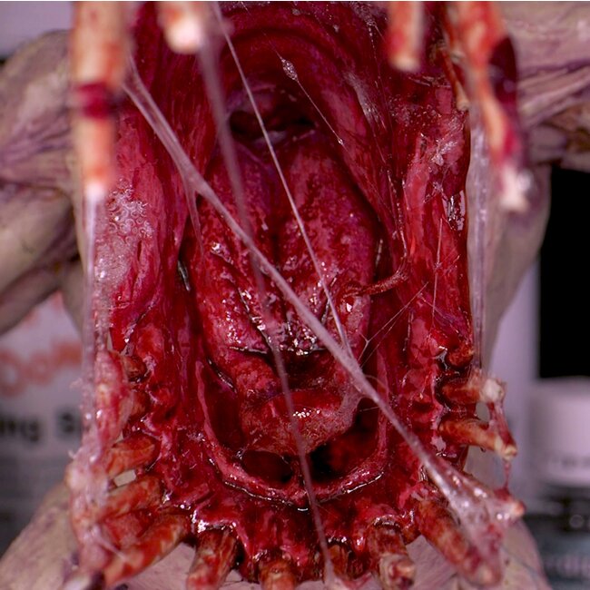 Dirty Down Gore - 15ml