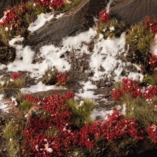 Gamers Grass Laliguras Flowers 6mm - GGFS-LAL