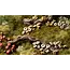 Gamers Grass Forest Mushrooms Basing Bits - GGBB-FM