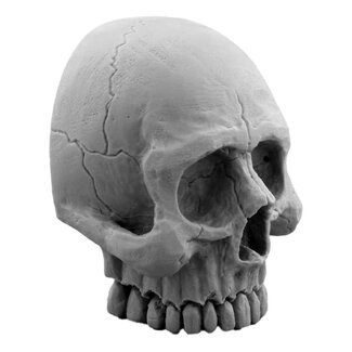 Mini Monsters Large Skull - MM-0132 - image