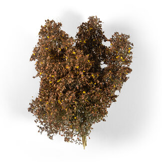 AK interactive Late Fall Filigree Bushes - AK8239 - image