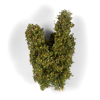 AK interactive Early Fall Filigree Bushes - AK8238 - image