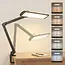 SBR Professional Daylight Lamp Black