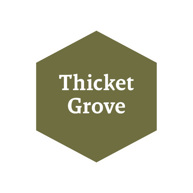 The Army Painter Thicket Grove John Blanche Fanatic Acrylic Paint- 18ml - WP4118P