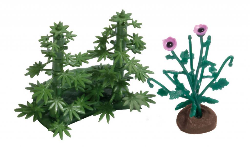 https://cdn.webshopapp.com/shops/7221/files/8912581/file.jpg