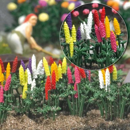 Flowers and plants