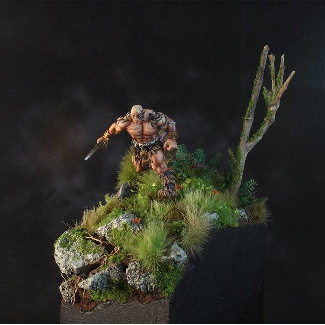 Busch Lupine - HO 1218