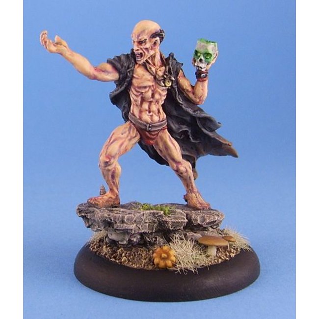 Busch Varens en Paddestoelen - HO 1203