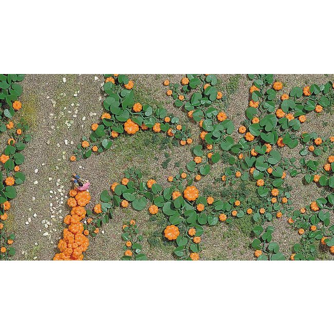 Busch Pumpkin field - HO 1201