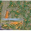 Busch Pumpkin field - HO 1201 - image