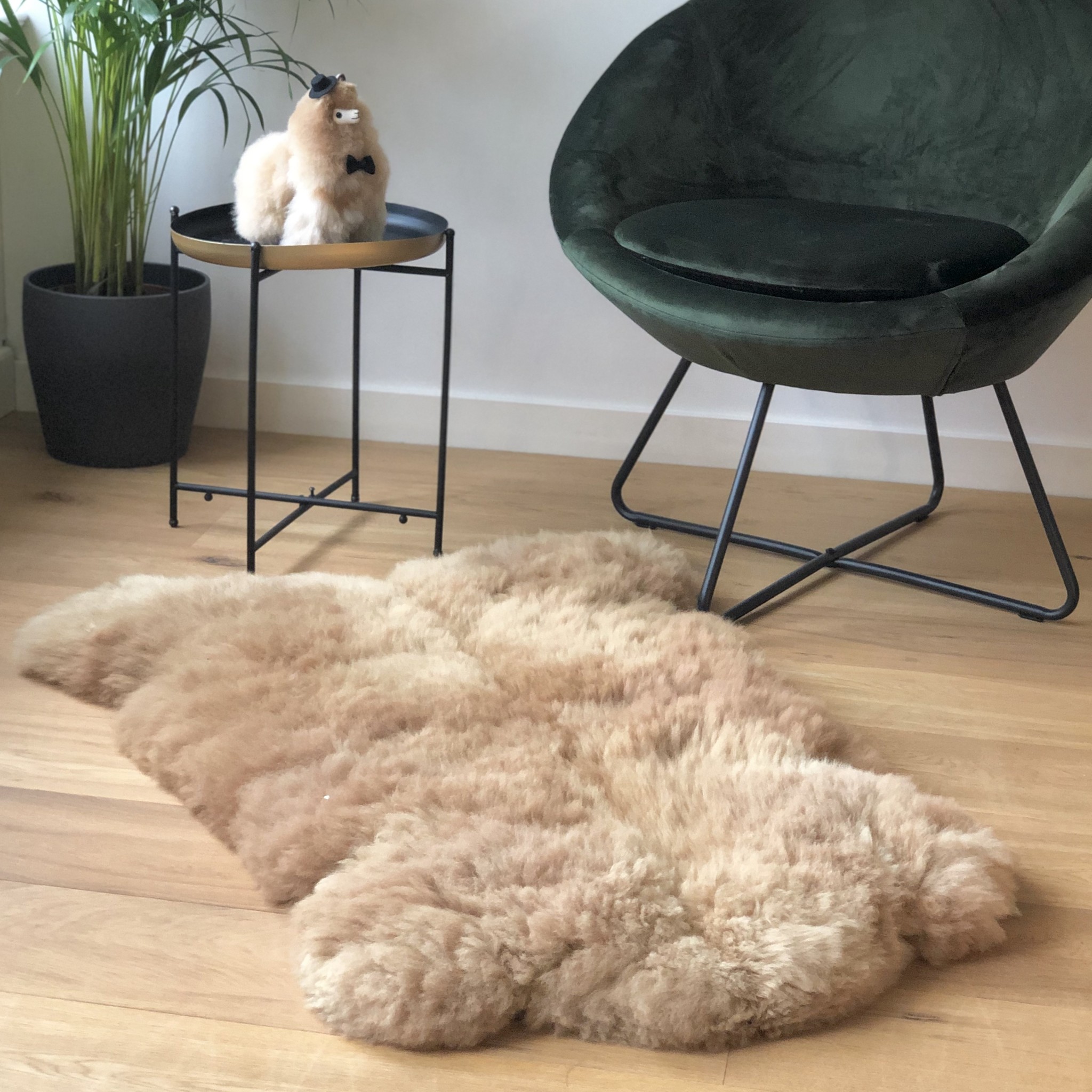 Alpaca Carpet Review Carpet Vidalondon