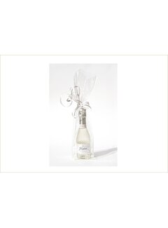 Transparent bag for piccolos and demis