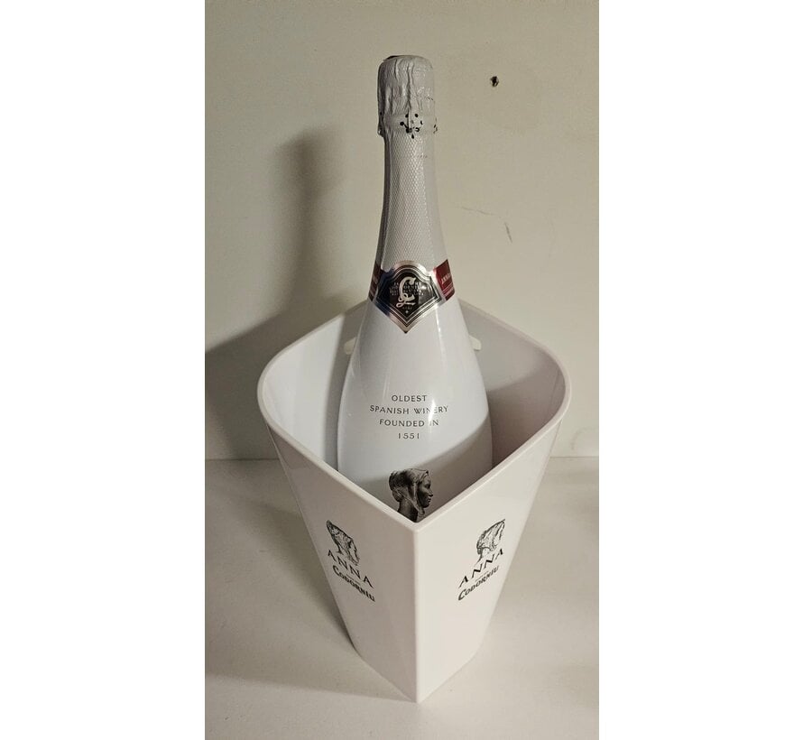 Cava Anna de Codorníu Brut Wit Magnum 150 cl | Nu met gratis Cooler