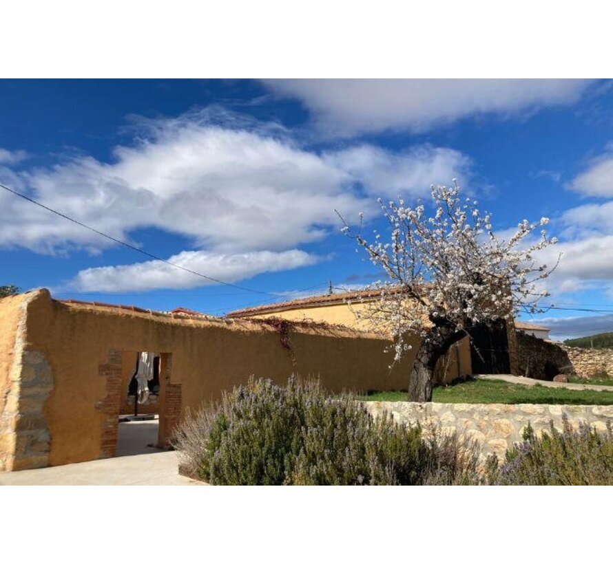 A Priori Brut - Sergi Colet